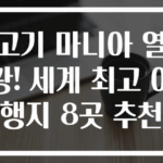 고기 마니아 열광! 세계 최고 여행지 8곳 추천