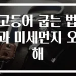 고등어 굽는 법과 미세먼지 오해