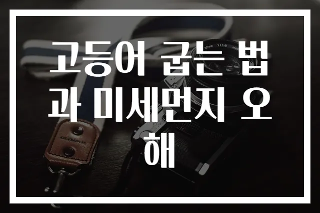 고등어 굽는 법과 미세먼지 오해