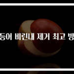 고등어 비린내 제거 최고 방법