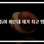 고등어 비린내 제거 최고 방법