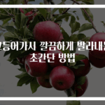 고등어가시 깔끔하게 발라내는 초간단 방법