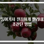고등어가시 깔끔하게 발라내는 초간단 방법
