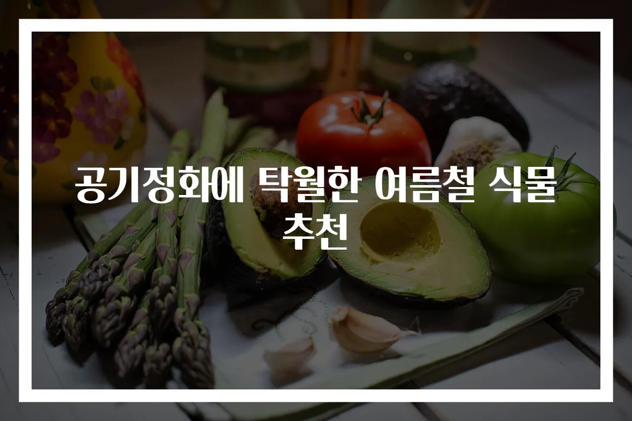 공기정화에 탁월한 여름철 식물 추천