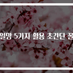 과일망 5가지 활용 초간단 꿀팁
