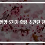 과일망 5가지 활용 초간단 꿀팁