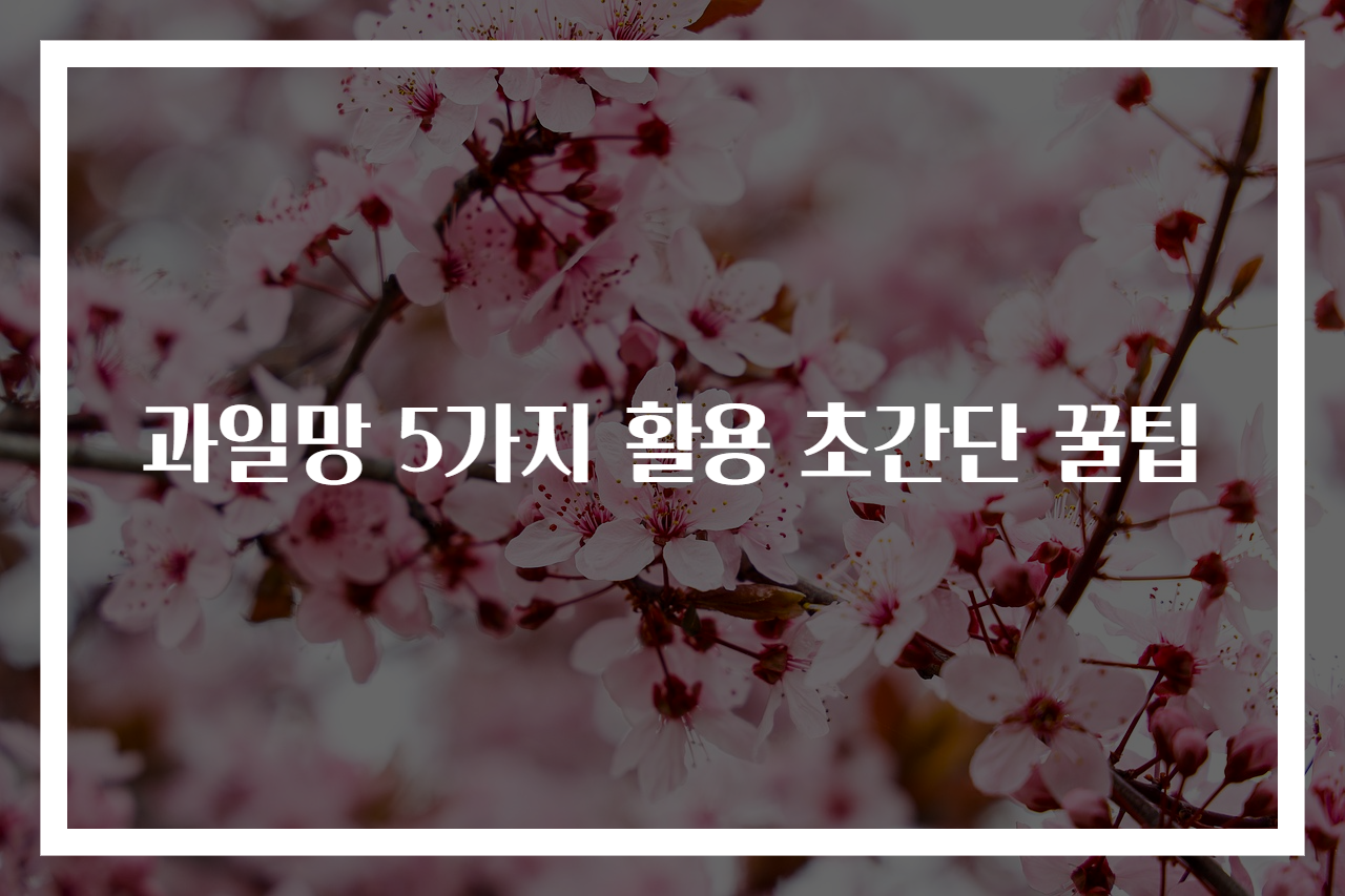 과일망 5가지 활용 초간단 꿀팁