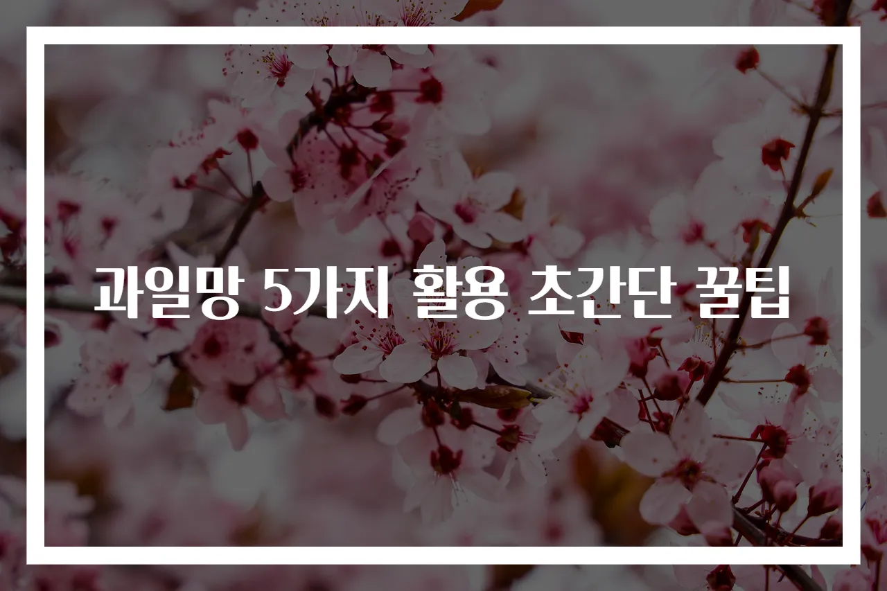 과일망 5가지 활용 초간단 꿀팁