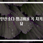 과탄산소다 황금비율 꼭 지키세요