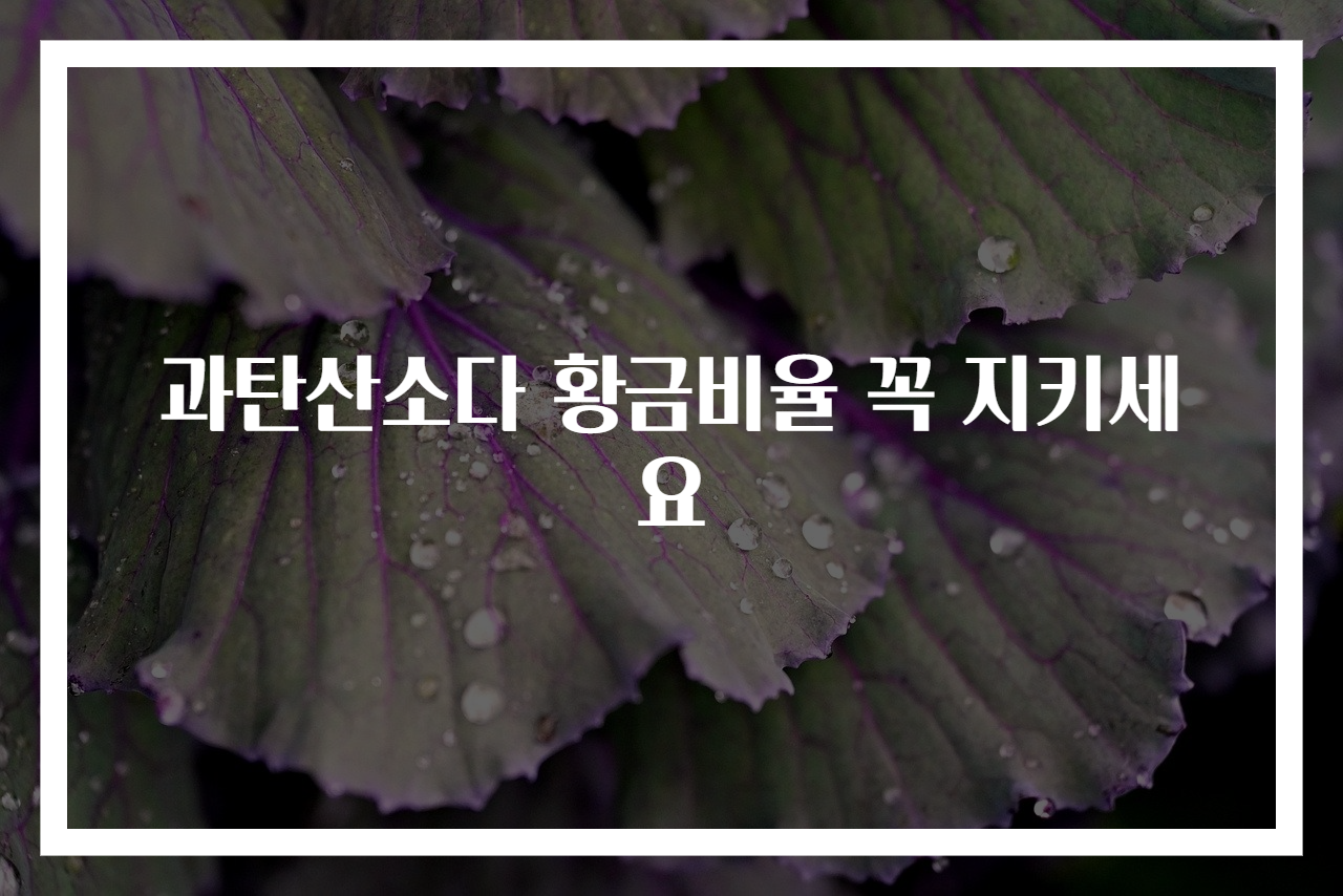 과탄산소다 황금비율 꼭 지키세요