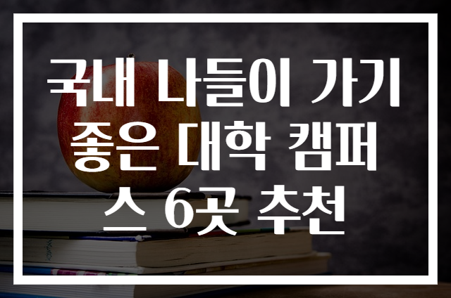 국내 나들이 가기 좋은 대학 캠퍼스 6곳 추천