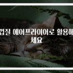 귤껍질 에어프라이어로 활용해보세요