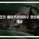 귤껍질 에어프라이어로 활용해보세요