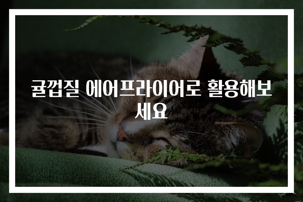 귤껍질 에어프라이어로 활용해보세요