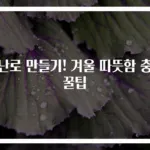 귤난로 만들기! 겨울 따뜻함 충전 꿀팁