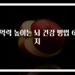기억력 높이는 뇌 건강 방법 6가지