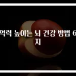 기억력 높이는 뇌 건강 방법 6가지