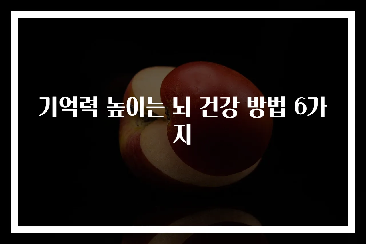 기억력 높이는 뇌 건강 방법 6가지