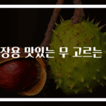 김장용 맛있는 무 고르는 법