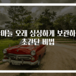 깐마늘 오래 싱싱하게 보관하는 초간단 비법