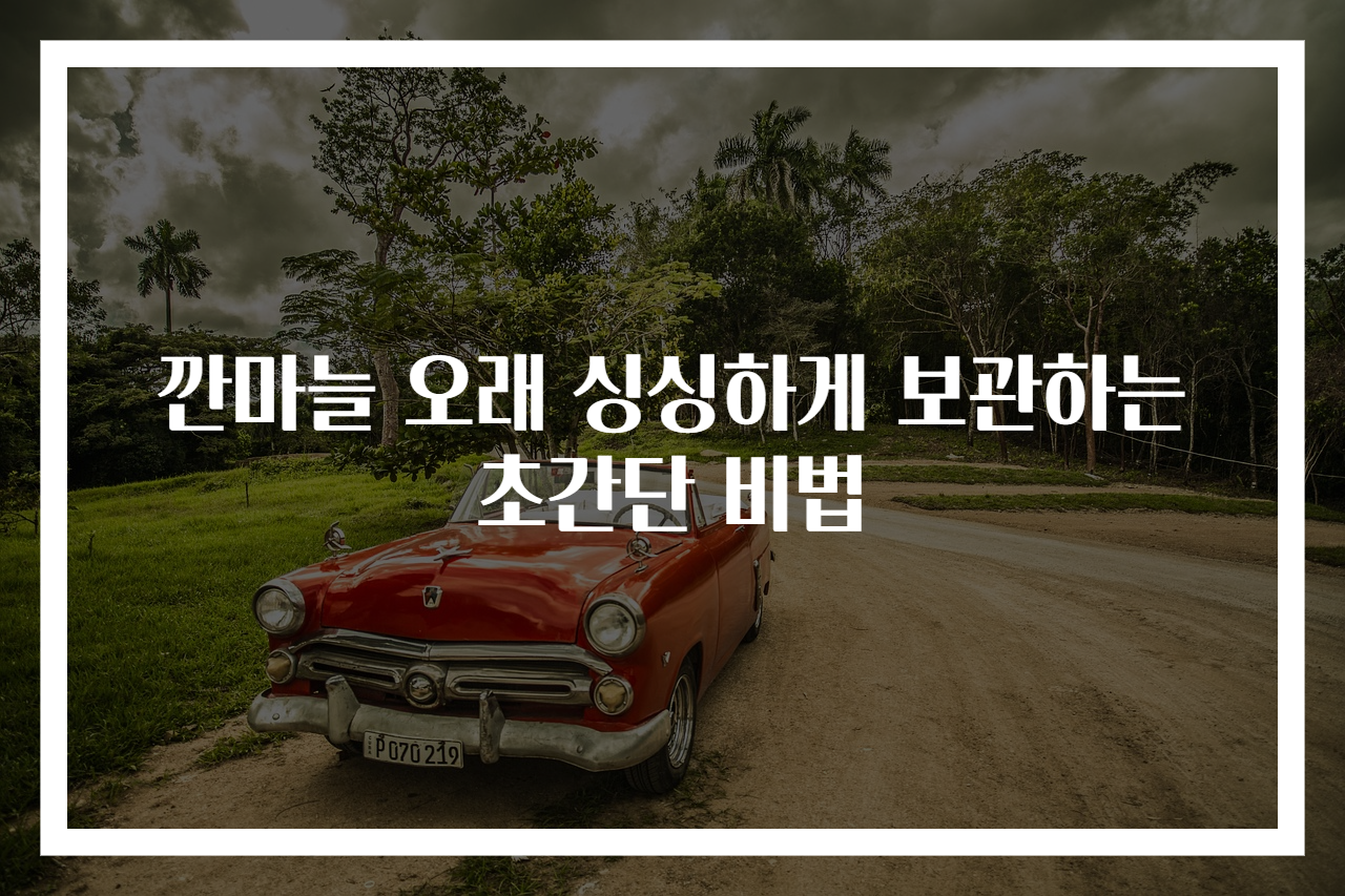 깐마늘 오래 싱싱하게 보관하는 초간단 비법