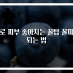 꿀로 피부 좋아지는 꿀팁 꿀피부 되는 법