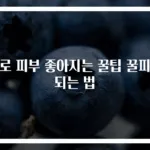 꿀로 피부 좋아지는 꿀팁 꿀피부 되는 법