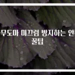 나무도마 미끄럼 방지하는 안전 꿀팁