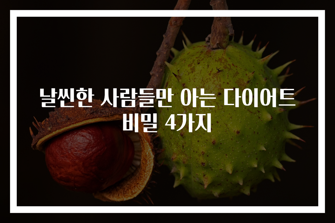 날씬한 사람들만 아는 다이어트 비밀 4가지