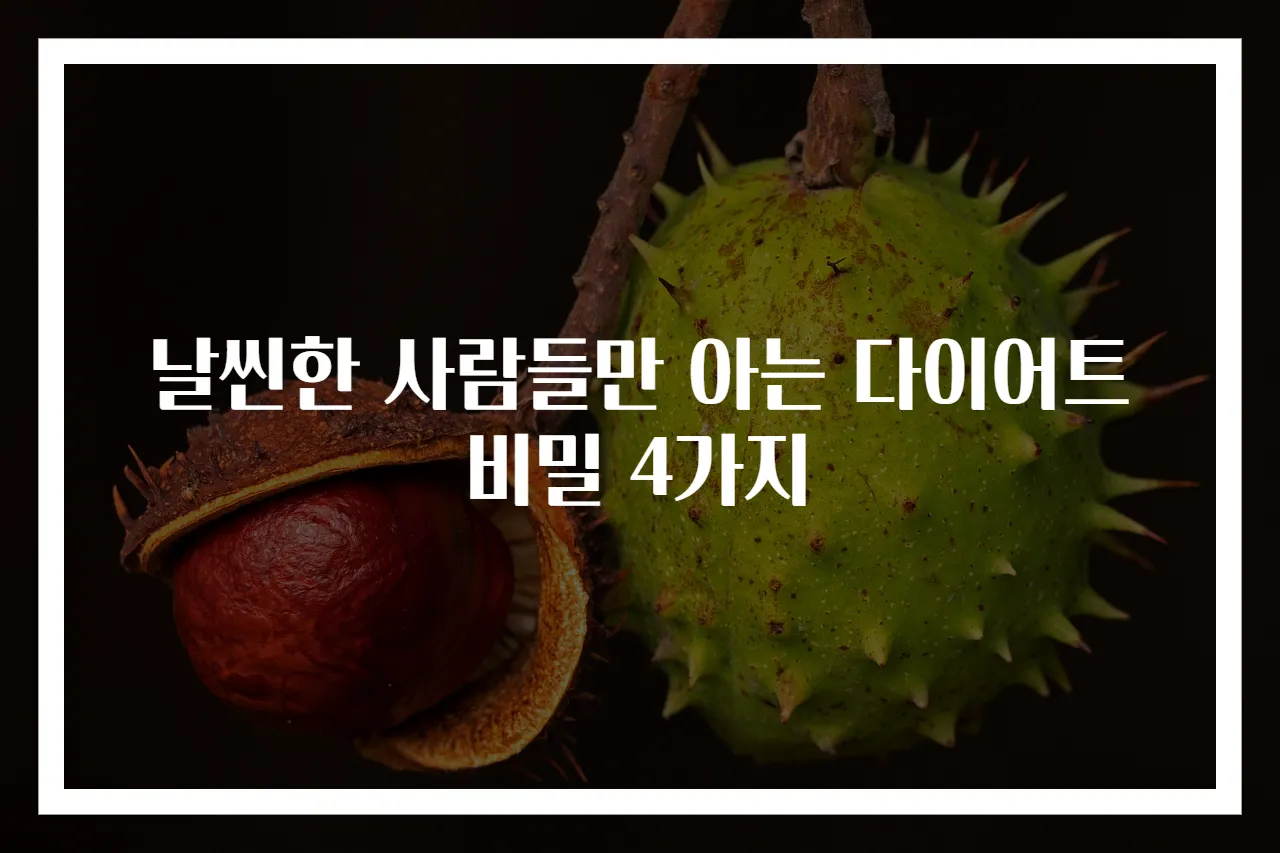 날씬한 사람들만 아는 다이어트 비밀 4가지
