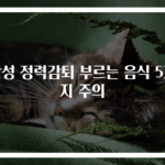 남성 정력감퇴 부르는 음식 5가지 주의