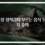 남성 정력감퇴 부르는 음식 5가지 주의