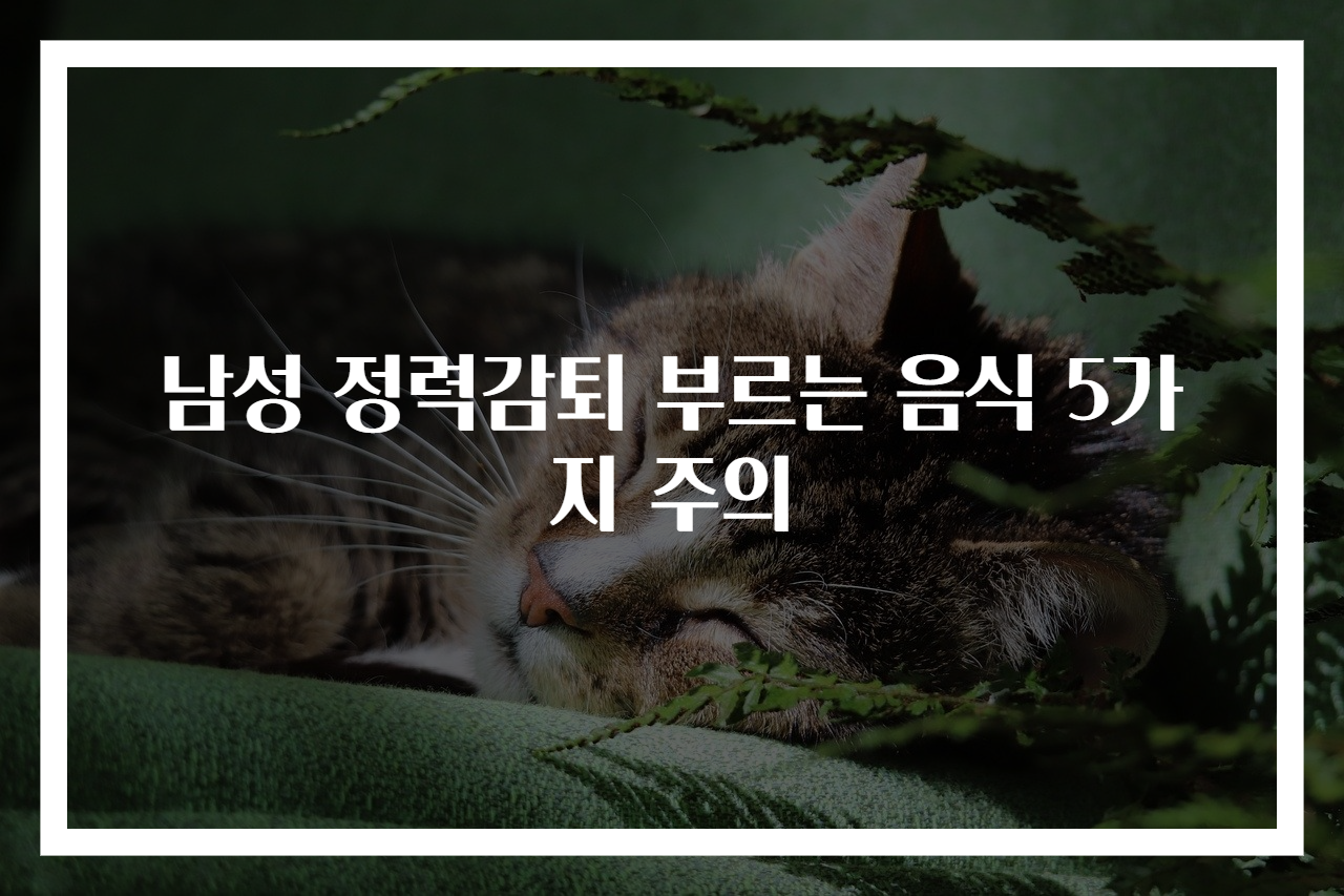 남성 정력감퇴 부르는 음식 5가지 주의