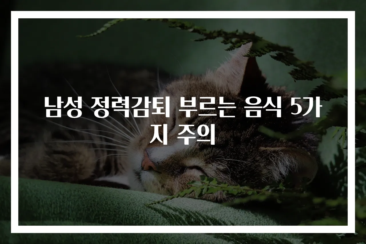 남성 정력감퇴 부르는 음식 5가지 주의