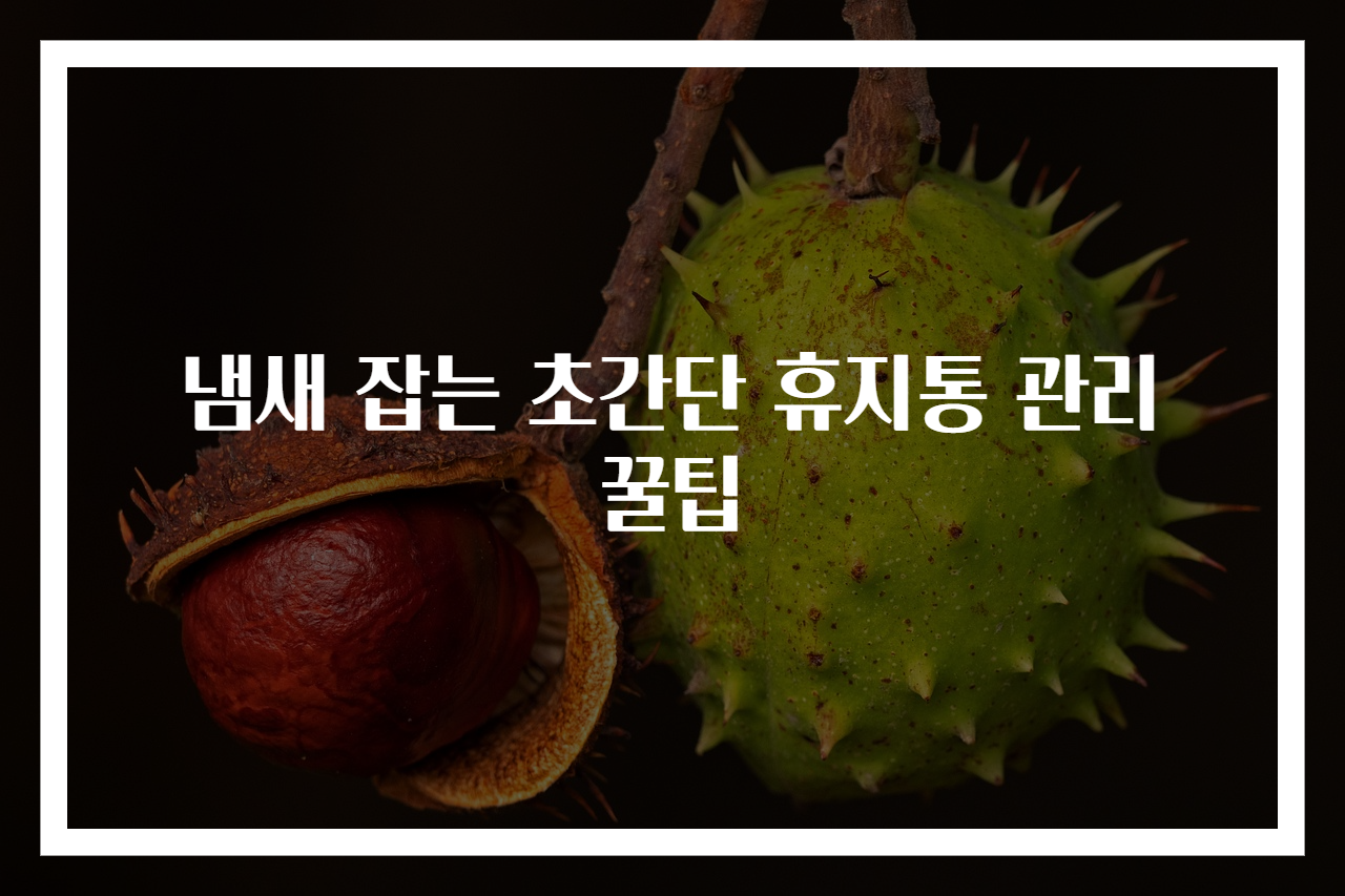냄새 잡는 초간단 휴지통 관리 꿀팁