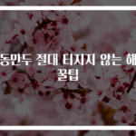 냉동만두 절대 터지지 않는 해동 꿀팁