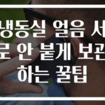 냉동실 얼음 서로 안 붙게 보관하는 꿀팁