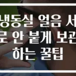 냉동실 얼음 서로 안 붙게 보관하는 꿀팁