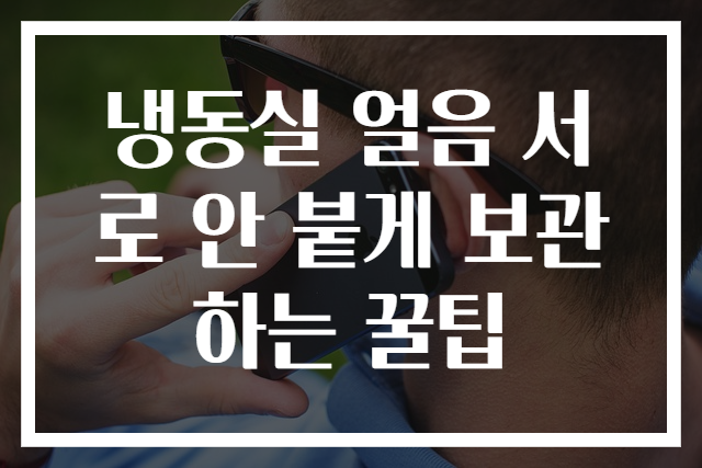 냉동실 얼음 서로 안 붙게 보관하는 꿀팁