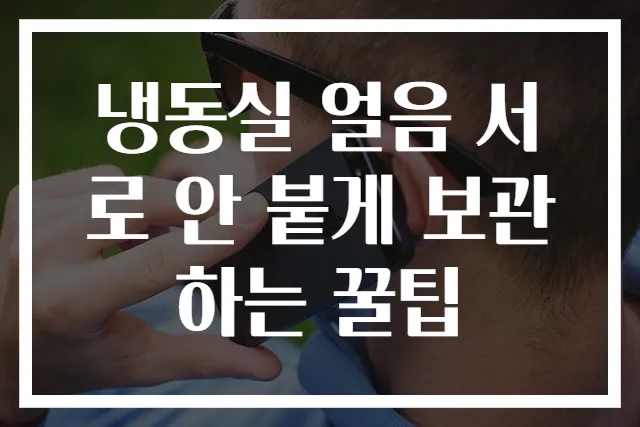 냉동실 얼음 서로 안 붙게 보관하는 꿀팁