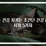 눈 건강 지키는 초간단 건강 레시피 5가지