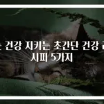 눈 건강 지키는 초간단 건강 레시피 5가지