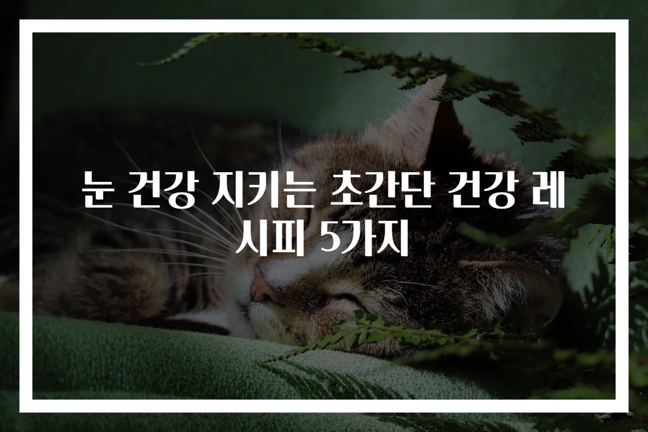 눈 건강 지키는 초간단 건강 레시피 5가지