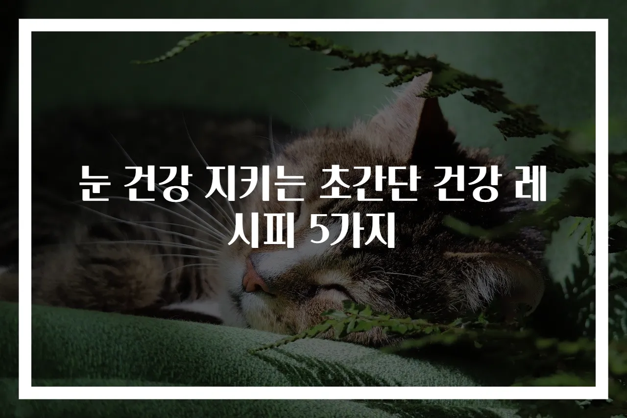 눈 건강 지키는 초간단 건강 레시피 5가지