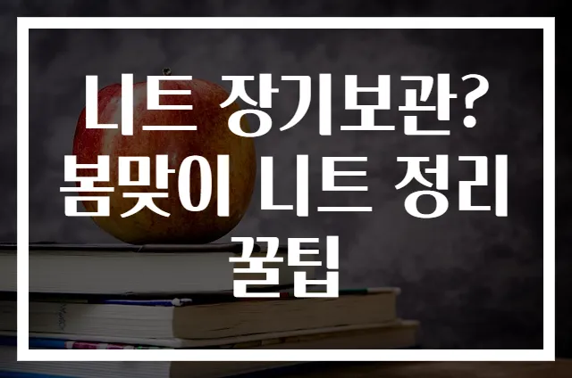 니트 장기보관? 봄맞이 니트 정리 꿀팁