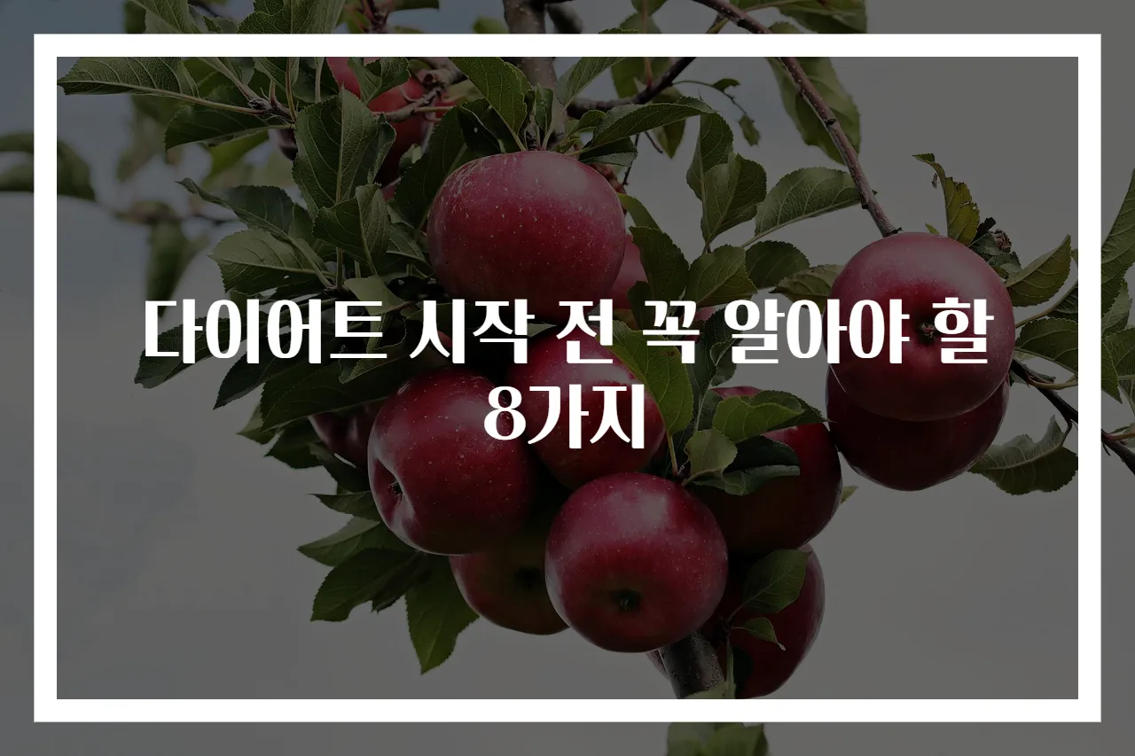 다이어트 시작 전 꼭 알아야 할 8가지