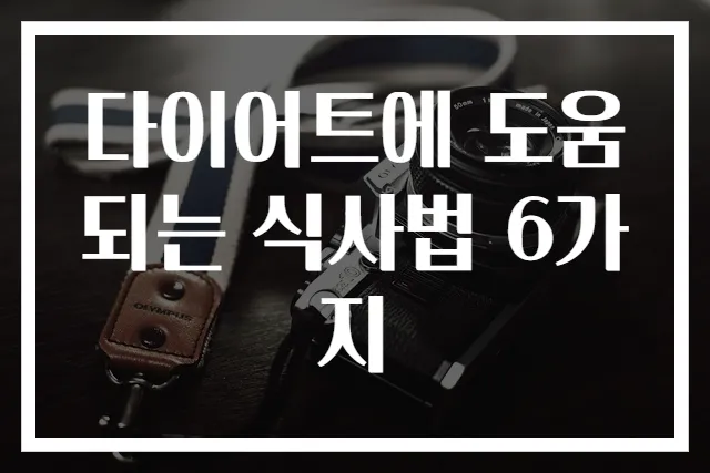 다이어트에 도움되는 식사법 6가지