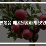 당면볶음 매콤달콤하게 맛있게