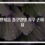 당면볶음 쫄깃탱탱 자꾸 손이 가요