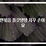 당면볶음 쫄깃탱탱 자꾸 손이 가요